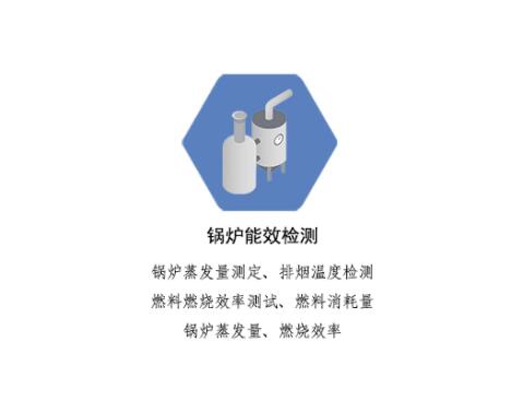 锅炉能效检测